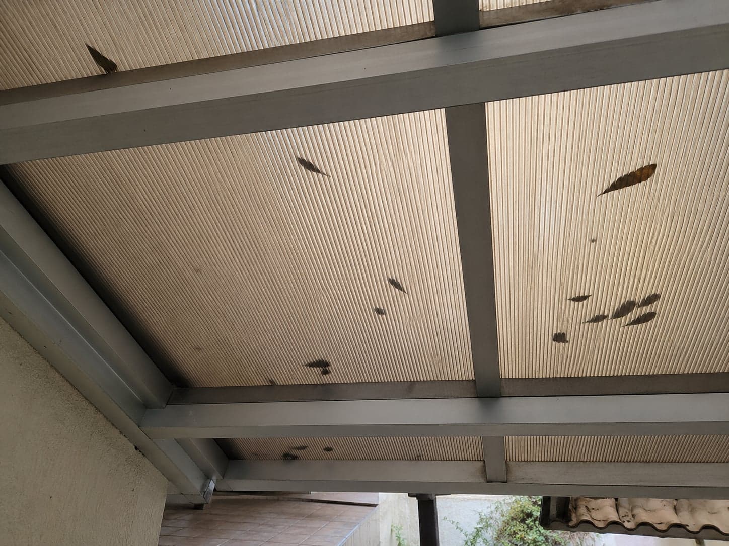 Vista por baixo de pergolado com chapas de policarbonato alveolar filtrando a luz do dia